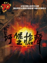 亚洲国产成a人v在线观看